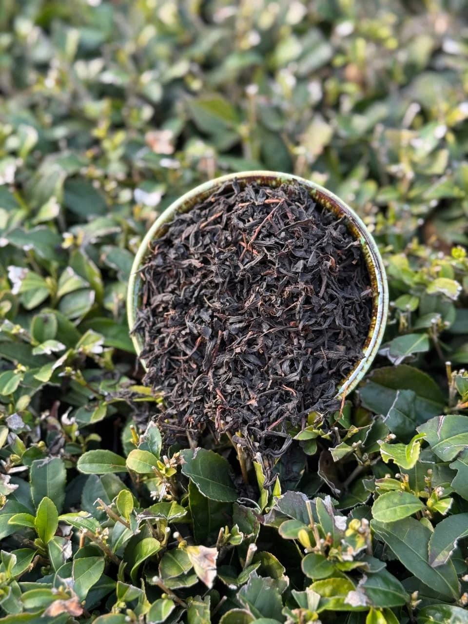 چای سنتی (۲کیلویی)درجه یک لاهیجان