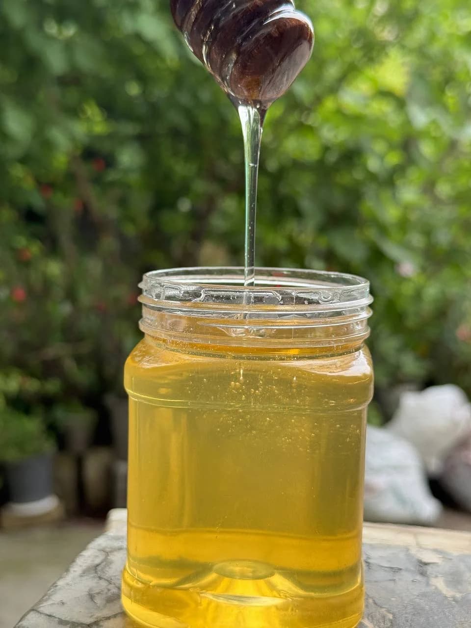 عسل مرکبات درجه یک گیلان(۵۰۰گرمی)