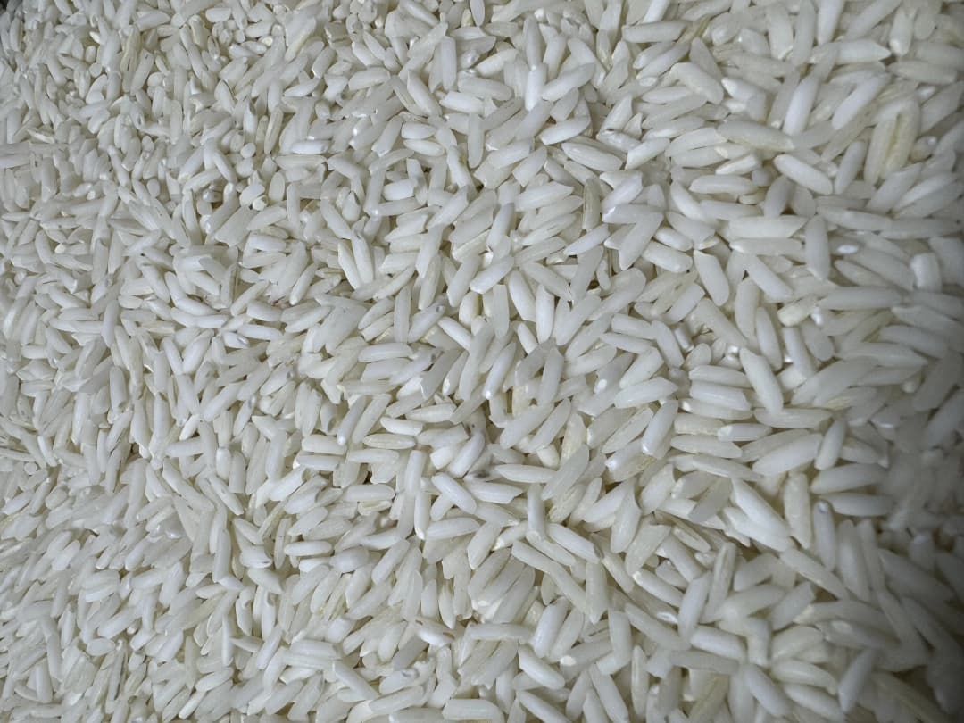 برنج هاشمی(5کیلویی) درجه یک آستانه اشرفیه(کشت امسال)