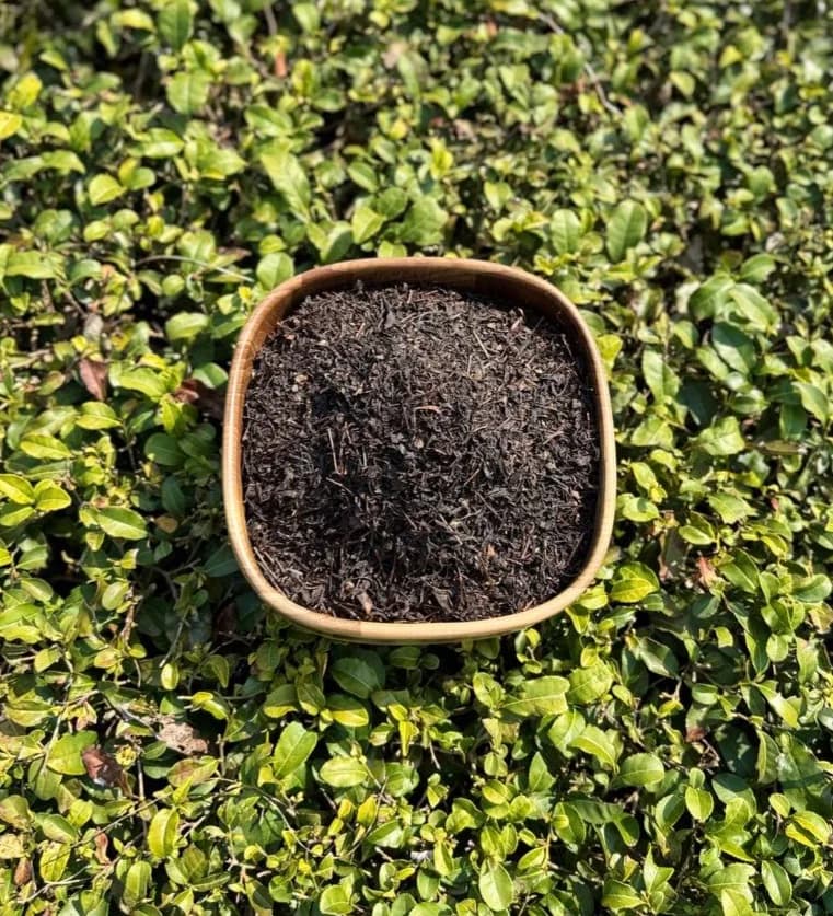 چای سنتی(یک کیلویی) درجه یک لاهیجان