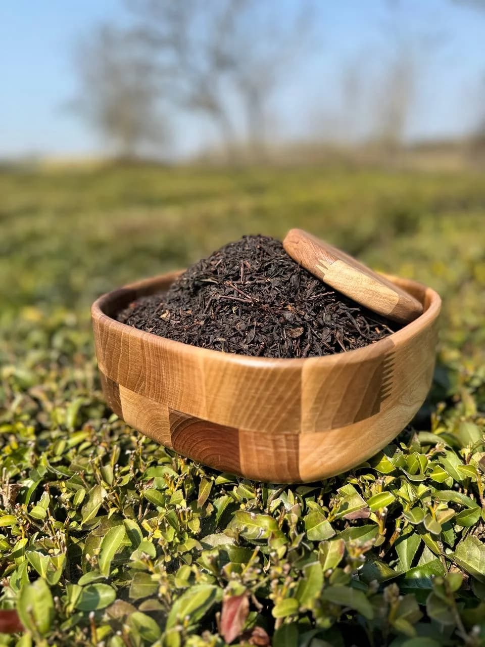 چای سرگل(۵۰۰گرمی) ممتاز بهاره لاهیجان
