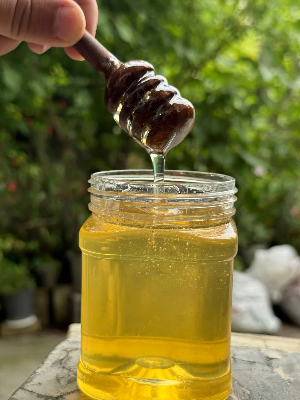 عسل مرکبات درجه یک گیلان(۵۰۰گرمی)