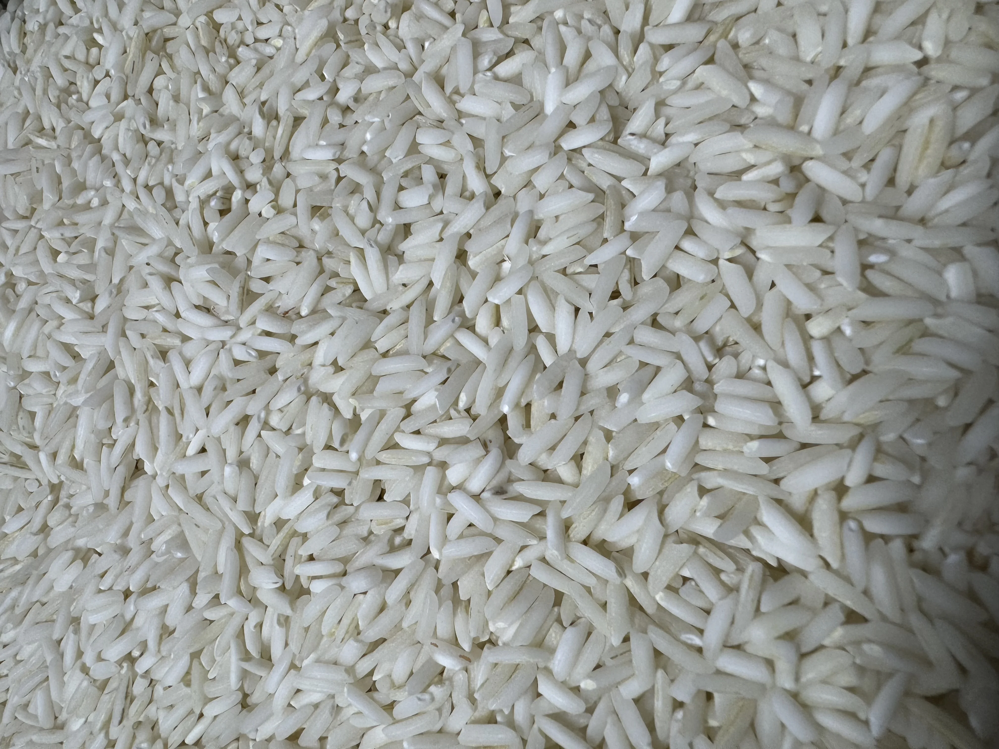 برنج هاشمی(10کیلویی) درجه یک آستانه اشرفیه(کشت امسال)