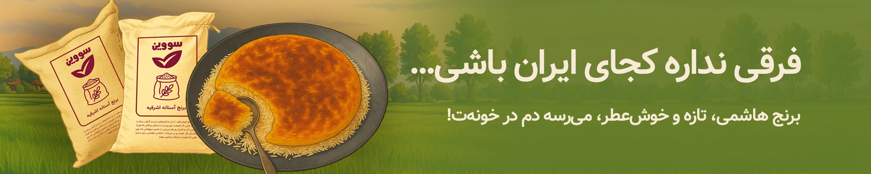 برنج هاشمی آستانه اشرفیه