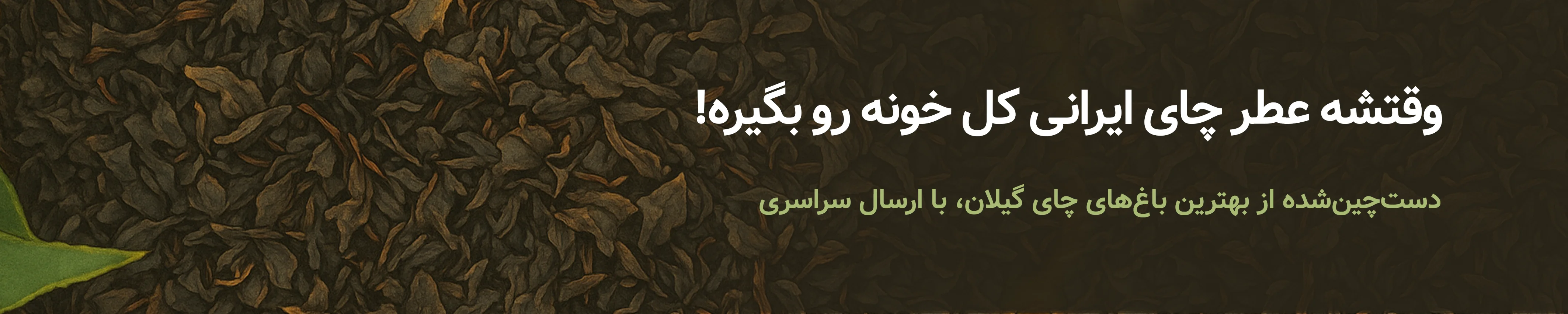 چای بهاره لاهیجان