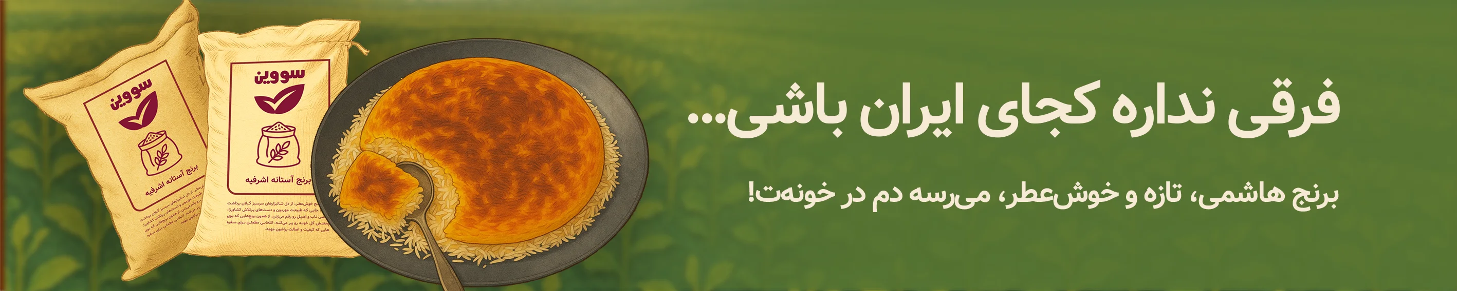 برنج هاشمی آستانه اشرفیه